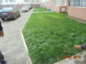 DSC00373